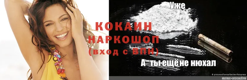 закладка  hydra как войти  сайты даркнета состав  Александровск-Сахалинский  Cocaine Fish Scale 