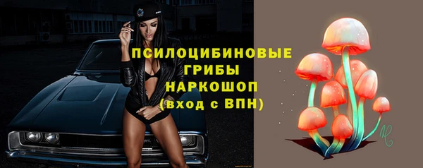 не бодяженный Осинники
